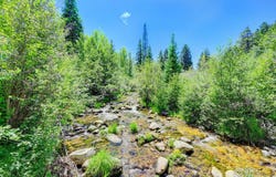185 Vasquez Rd, Winter Park, CO 80482