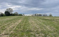Tract 9 Webster Road, Campbellsville, KY 42718