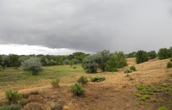 Off CR 120 CR 120, La Mesilla, NM 87532
