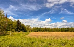 5911 Baseline Road, Grand Junction, MI 49056