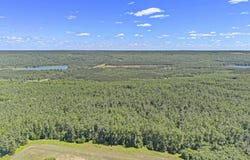 V/L Parcel N Mt. Frederick, Gaylord, MI 49735