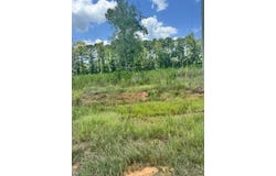 L 10 Private Rd 7700, San Augustine, TX 75972