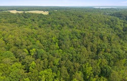 Lot 3 SALEM CHURCH ROAD, KING GEORGE, VA 22485