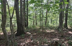 BLEVINS ROAD, LURAY, VA 22835