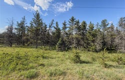 County Road Y, Gordon, WI 54838