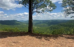 45 NC 6829, Jasper, AR 72641