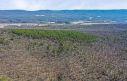 LOT66&67 BAKER MOUNTAIN DRIVE, WARDENSVILLE, WV 26851