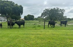 112 Fairway Court, Lake Placid, FL 33852