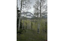 TBD Tract 13 County Road 5, Ridgway, CO 81432