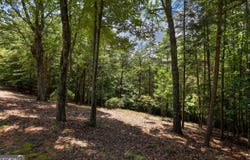 0 Laceola South Rd Lot 120, Cleveland, GA 30252