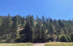 25XX HALL CREEK RD, INCHELIUM, WA 99138