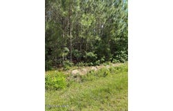 Beattys Bridge Road, Atkinson, NC 28421