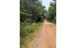 Tract 3 - Gobbler Creek Rd, Wedowee, AL 36278