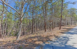 175 Delphi Path, Wellfleet, MA 02667