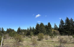 COOKE Rd, WhiteSalmon, WA 98672