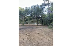 111 Roberta Drive, Eutawville, SC 29048
