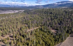 5341 Hoo Doo Loop, Oldtown, ID 83822