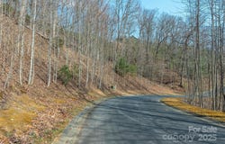0 Shining Rock Path 11, Horse Shoe, NC 28742