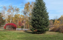167 Main Street, Skowhegan, ME 04976
