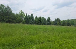 0WP County Rd 34, Norwich, NY 13815