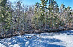 On BOYGAN LAKE RD, Land O Lakes, WI 54540