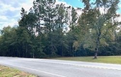 Tbd Bloomville Road, Manning, SC 29102