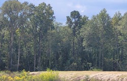 Highway 69 S, Lufkin, TX 75901