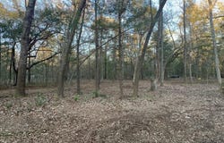 Sol Farm Road, Johns Island, SC 29455