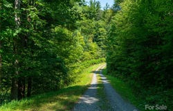 Meadow Fork School Road, Hot Springs, NC 28743