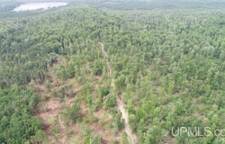 Camp 23 Road, Germfask, MI 49836
