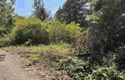 00 Bird Road, Solgohachia, AR 72156