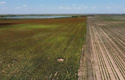 359 Acres CR 164, No City, TX 79521