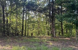 130 Steeple Point Dr. Lot #12 Drive, Defiance, MO 63341
