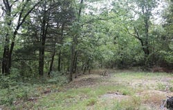 121 Wickham Road, Mountain View, AR 72560