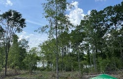 0 Lookout Tower Road, Friendship, LA 71008