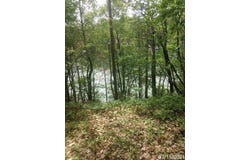 Beach Road, Johannesburg, MI 49751