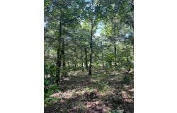 Tract 2 SE 1083 Road Ave., Red Oak, OK 74563