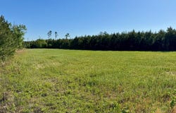 TBD Moselle Road, Islandton, SC 29929