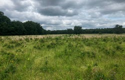 TBD* Alicia Lane, Howe, OK 74940