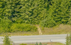 29W11W33A TL101, Myrtle Point, OR 97458