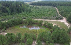 97.83 Acres-TBD Sugar Hill Fox Rd., Pamplico, SC 29583