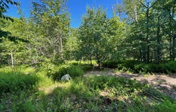 00 Sugar Bush Trail, Galeton, PA 16922