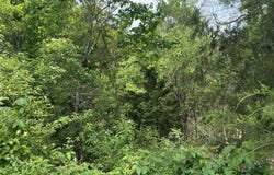 000 45030, Powderly, TX 75473