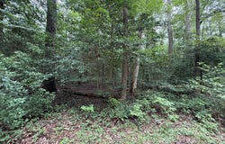 Dogwood Drive lot: 37, LANCASTER, VA 22503