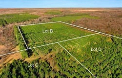 15 ACRES C WALLIN ROAD, COLFAX TWP, MI 49683