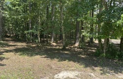 4819 Delft Drive, New Bern, NC 28562