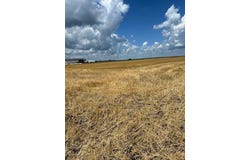 17 ROUTE Road, Varna, IL 61375