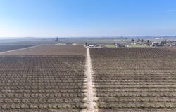 Elder Avenue, Hanford, CA 93230