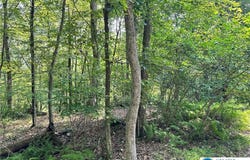 St Moritz Court, Price Twp, PA 18332