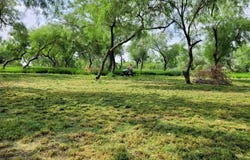 27188 Fm 88 Road, Edcouch, TX 78538
